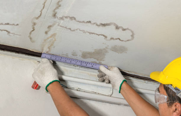Reliable Burst Pipe Cleanup contractor in Wartburg, TN by Water Damage Irwin